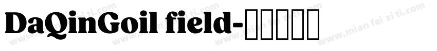 DaQinGoil field字体转换